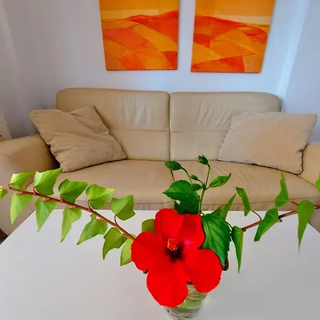 Lomas De Mena Apartment